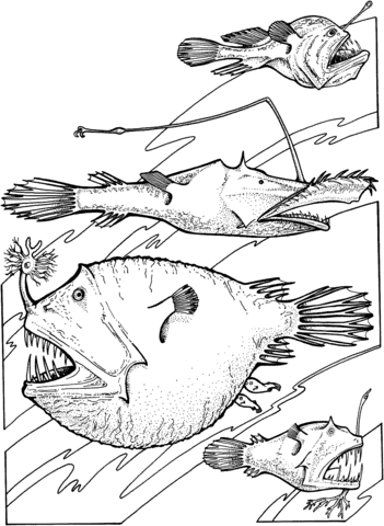 Deep Sea Angler Fishes Coloring Page